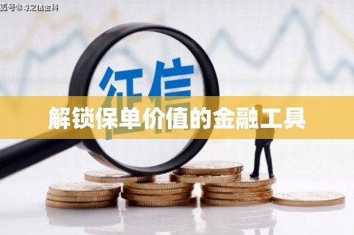 延庆解锁保单价值的金融工具